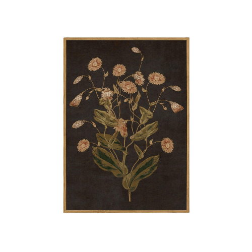 Dark Moody Floral Framed Wall Art – Vintage Botanical Wildflower Canvas Print
