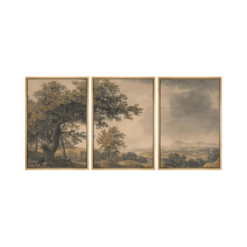 Vintage "Mountain & Meadow" 3-Piece Framed Set – Rustic Illustrated Nature Landscapes